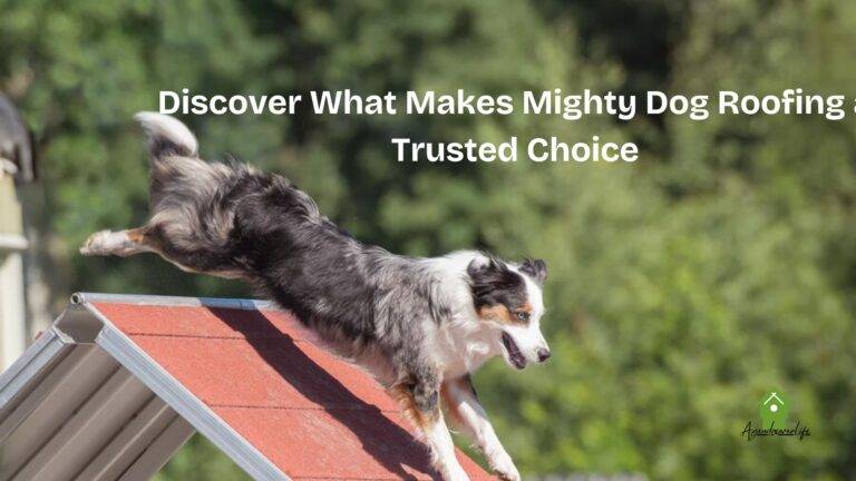 Discover What Makes Mighty Dog Roofing a Trusted Choice