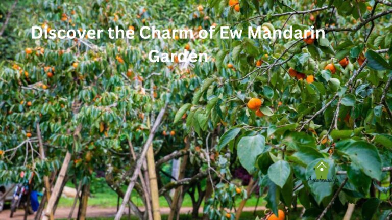 Discover the Charm of Ew Mandarin Garden