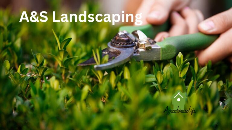 Comprehensive A&S Landscaping Solutions for Every Need