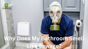 Why Does My Bathroom Smell Like Sewage?