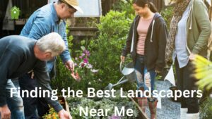 Finding the Best Landscapers Near Me
